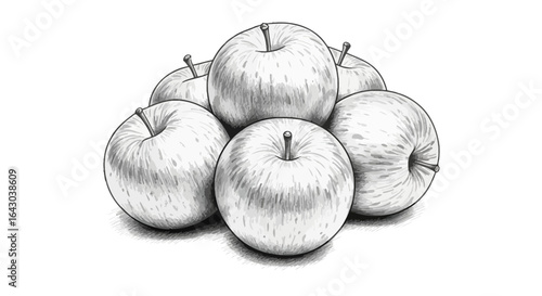 Monochrome apple still life rendered with meticulous artistic detail