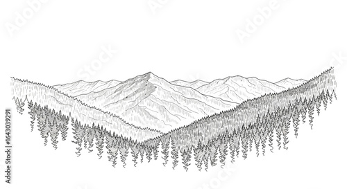 Monochrome landscape with mountain peaks and coniferous forest illustration
