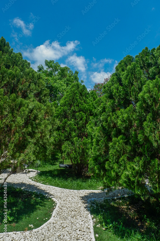 Naklejka premium Garden landscape design with pathway in garden and footpath in picturesque summer park and staircase in backyard,Paving stones on floor in park,space for text.