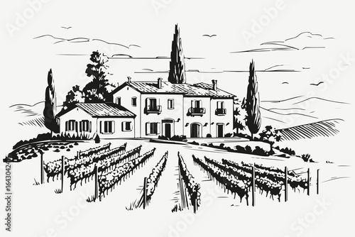 italian house with vineyard sketch illustration vector