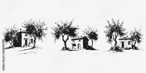 italian house with olive trees sketch illustration vector set