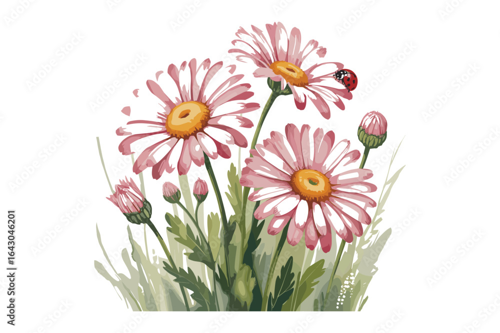 Fototapeta premium Pink Daisy Flower Clipart Bundle 