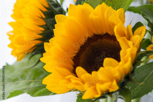 Sunflowers in a vase on a white background close up