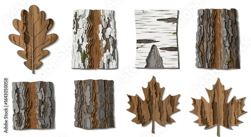 Variety of tree bark textures and autumn leaves in collage display