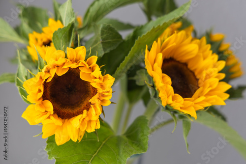 Sunflowers in a vase on a white background close up