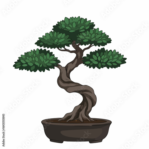 Ornate Bonsai Tree in a Dark Pot with Intricate Twists