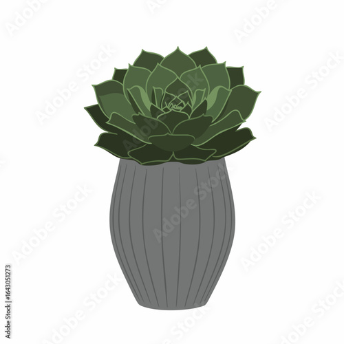 Gray Potted Succulent: Lush Green Rosette Plant