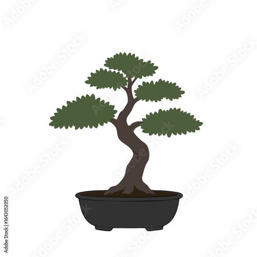Serene Bonsai Tree in a Black Pot, Artistic and Elegant.
