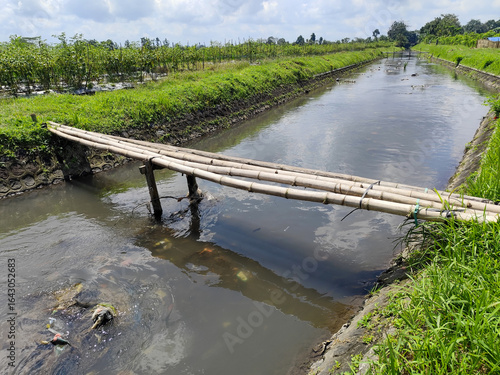 Sebuah jembatan bambu sederhana terbentang di atas sungai kecil yang mengairi ladang hijau di pedesaan Indonesia.