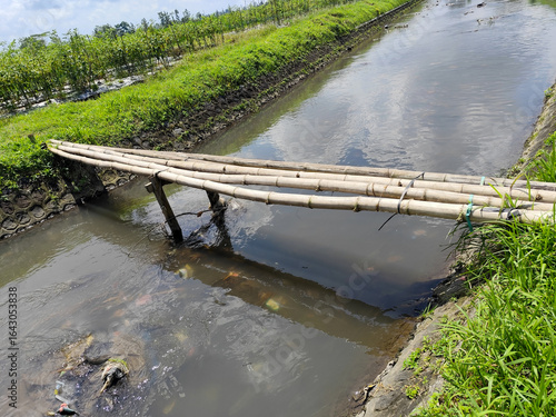 Sebuah jembatan bambu sederhana terbentang di atas sungai kecil yang mengairi ladang hijau di pedesaan Indonesia.