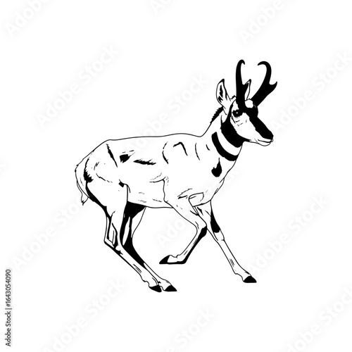 A captivating portrait of a deer, with its majestic antlers and well-built body creating a remarkable sight.