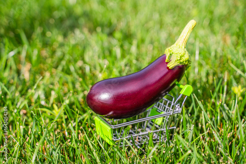 Dark purple eggplant in a shopping cart close-up in the grass
