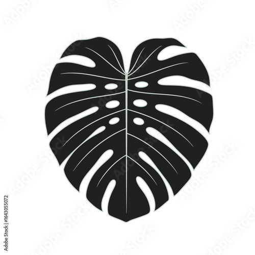 A black silhouette of a single, heart-shaped Monstera deliciosa leaf isolated on a white background.