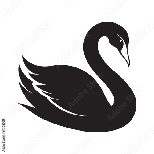Elegant silhouette of a black swan with graceful neck and feathered wings