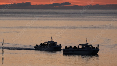 Seahouses, Northumberland, UK. July 2025. Boat trips tro the Farne islands nature reserve. Dolphins, Orca, Puffins, seabirds, seals.