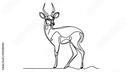 Continuous one single minimal line drawing Springbok