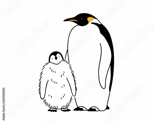 penguin on a beach