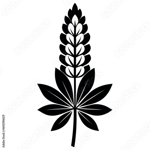 Vector art of black lupine flower silhouette isolated on white background