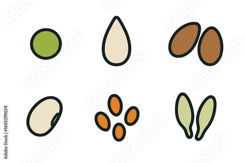 Different types of seeds displayed in a minimalist style on a white background for educational purposes