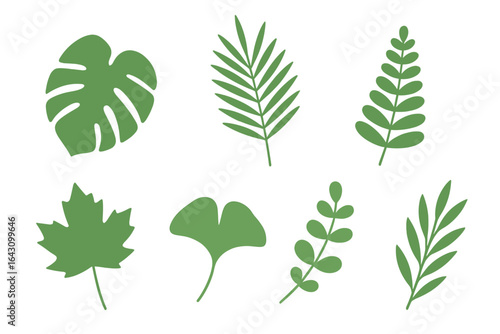 Varied green leaves showcasing different shapes and sizes from tropical and temperate plants in a simple layout
