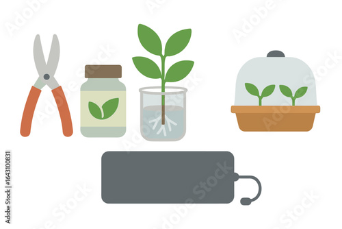 Tools and materials for nurturing young plants in a home garden setting during springtime