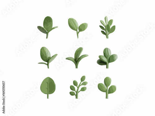 green leaves isolated on white