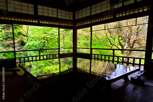 瑠璃光院の書院からの眺め