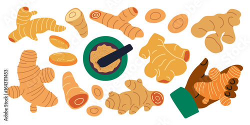 Ginger set in cartoon retro groovy style. Healthy fresh plants herbs for tea, baking. Bright ginger sliced, root, powder. Vector flat food set for cooking, food, and culinary. Spices doodle stickers