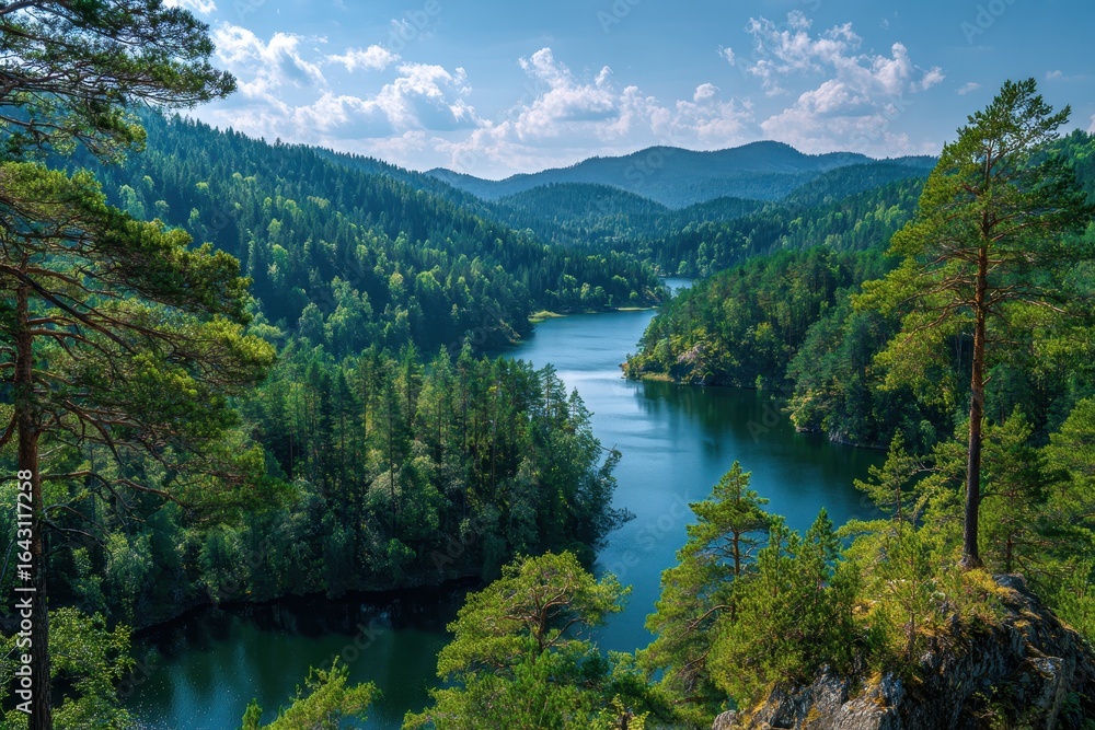 Fototapeta premium Stunning landscape view of a pine forest surrounding a tranquil lake, capturing nature's beauty in a serene mountain setting during daylight hours