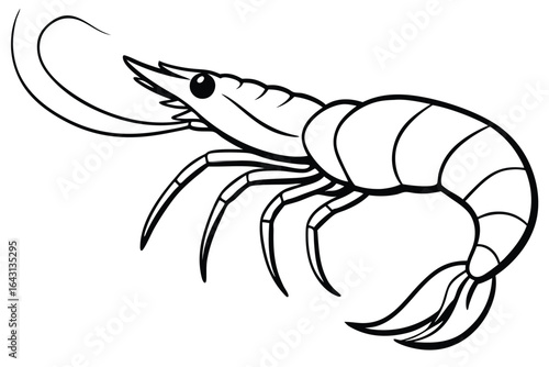Black and white cartoon shrimp line art with detailed features on a white backdrop