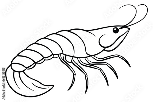 Black outlined shrimp with long antennae displays a clear, distinctive silhouette