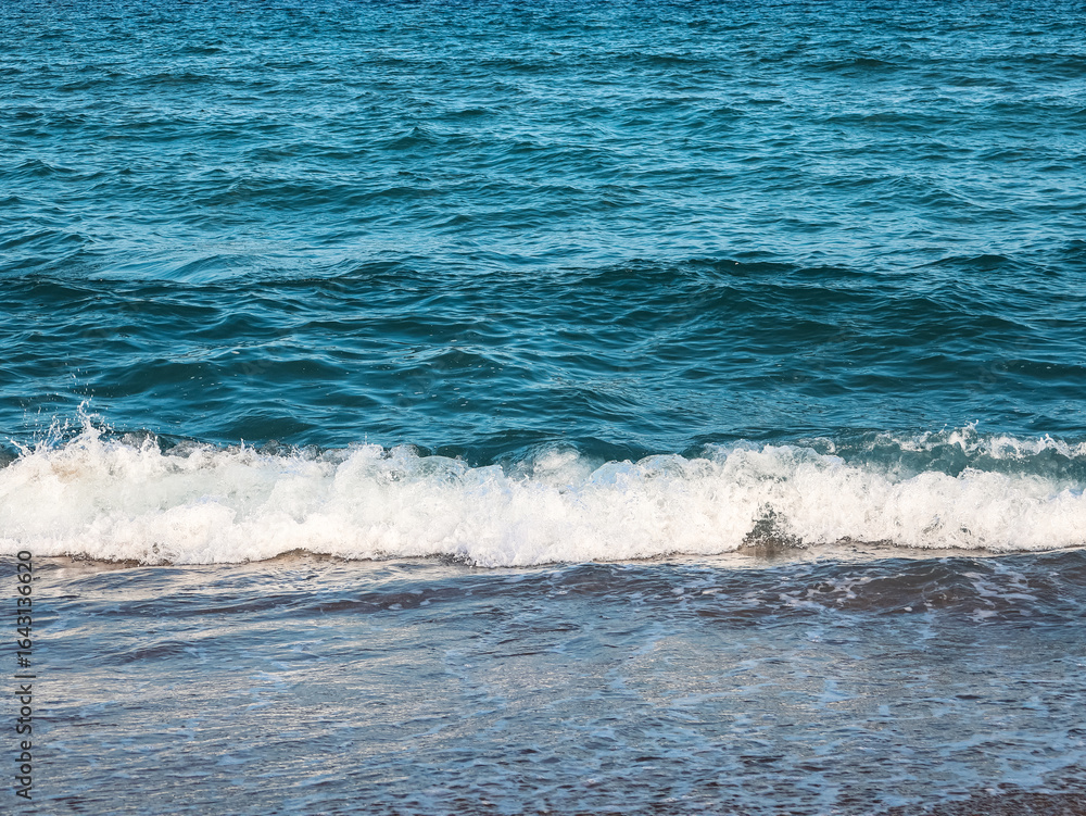 Fototapeta premium Sea wave on the sandy beach. Background with copy space for text