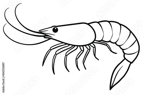 Black line showcases detailed shrimp with prominent whiskers and legs on white surface