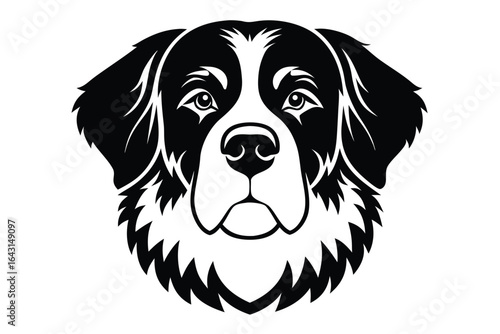 Black and white illustrates a Bernese Mountain Dog head with expressive eyes