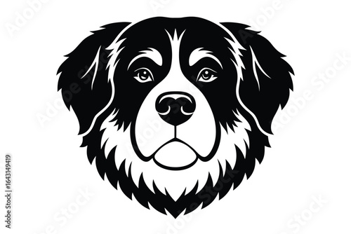 Black and white depicts a Bernese Mountain Dog head on a white background