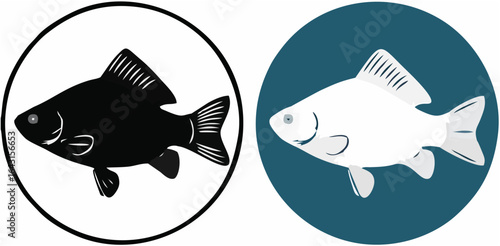 Carp fish.eps