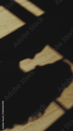 Shadows of a man and a woman kissing in the sun reflected on the floor next to each other in the window. Silhouette of a romantic couple in love. Love and Polynesians. Vertical video.