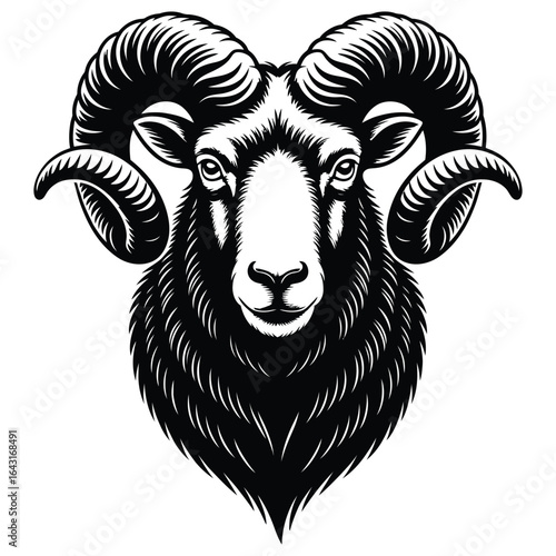 head of ram