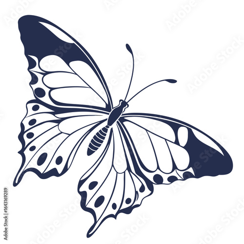 butterfly silhouette vector illustration 