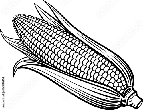 Detailed black and white corn cob with leaves maize grain