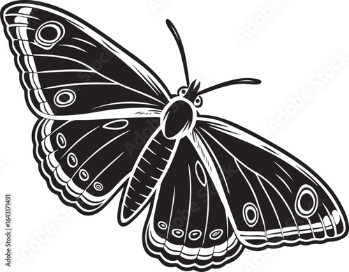 Stylized black and white butterfly with bold wing patterns