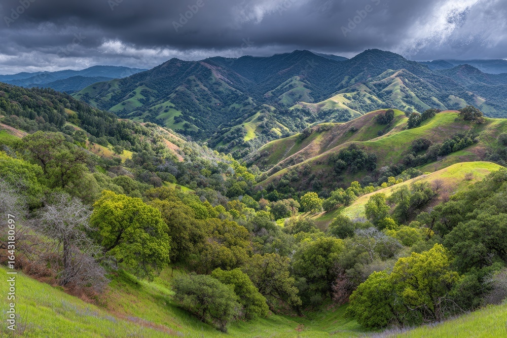 Obraz premium Mountain valley, lush greenery, dramatic clouds