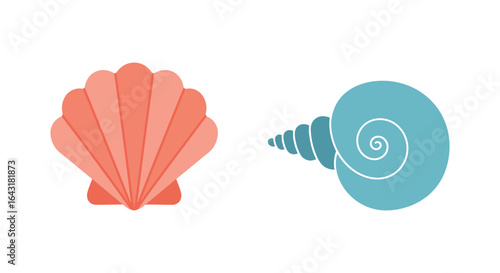 Simple Illustration of a Seashell and a Conch Shell on White Background