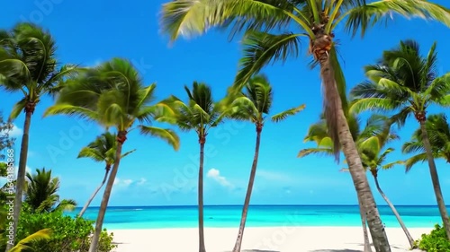 Natural Motion | Relaxing Seebetch Video for Mindful Viewing