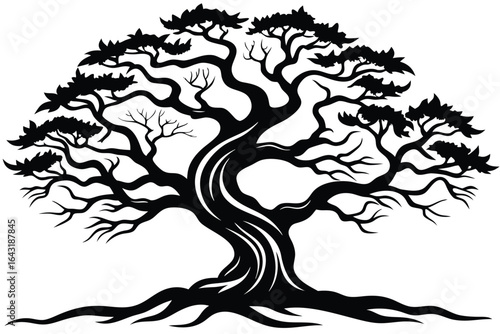 silhouette shows an old tree with twisted branches and roots isolated on white