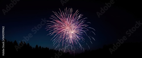 The stunning fireworks display illuminating the night sky with vibrant colors.