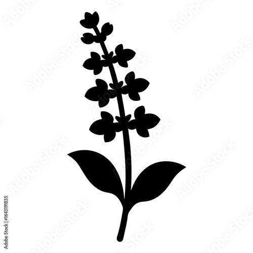 Black silhouette of a blossoming flower stalk with leaves and blooms
