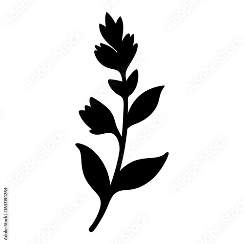 Silhouette botanical illustration of a stylized plant with leaves and flowers