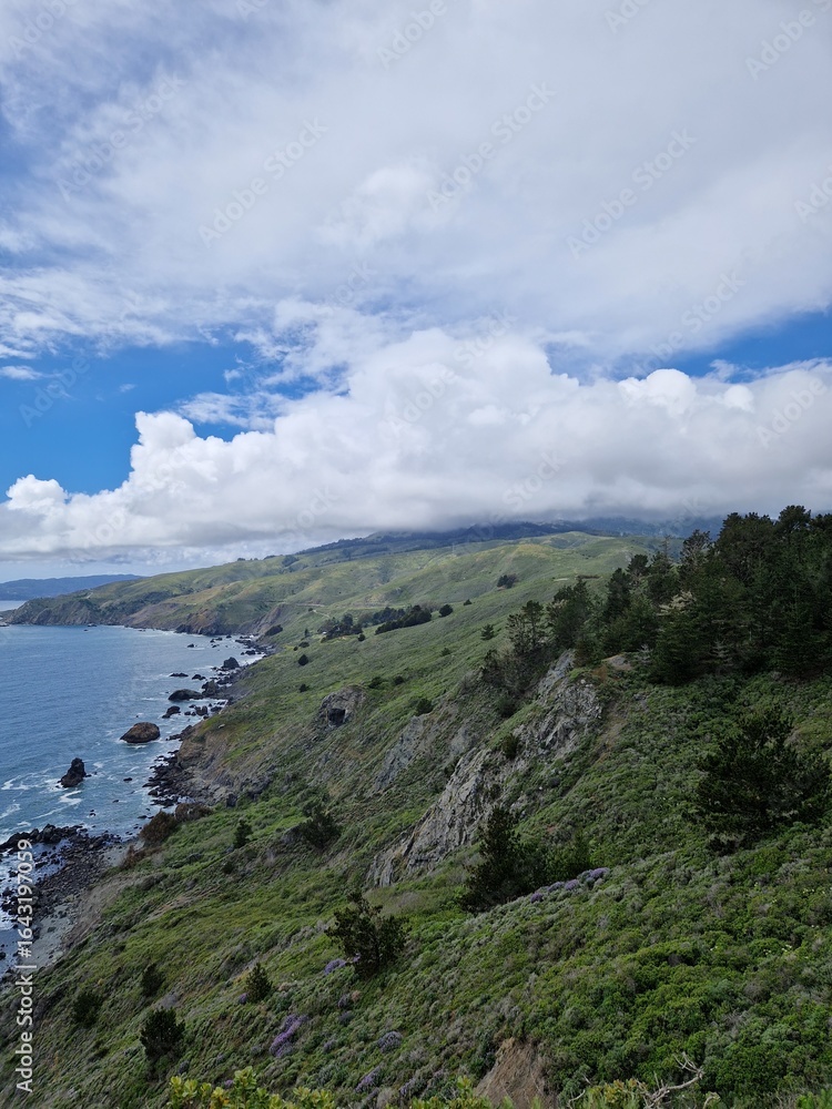 Fototapeta premium KRAJOBRAZ