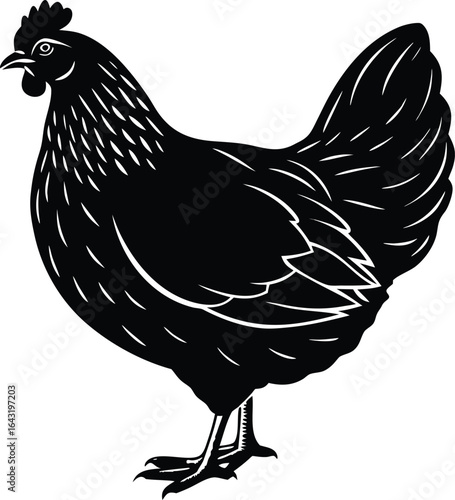 Rooster, hen, and chick farm birds isolated on white, with cartoon vector illustration and black silhouette fowl